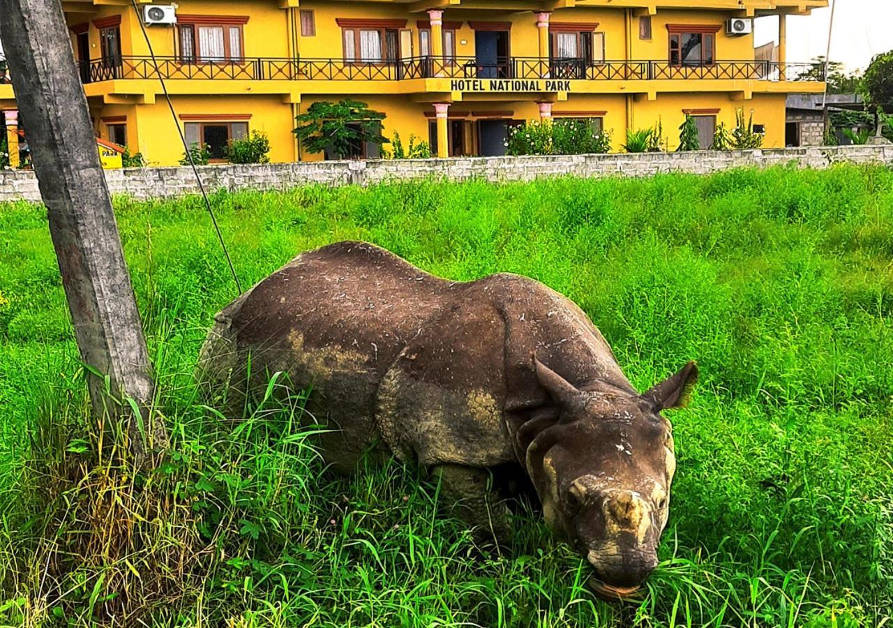 Hotel National Park Sauraha- Homely Stay And Peaceful Location Exterior photo