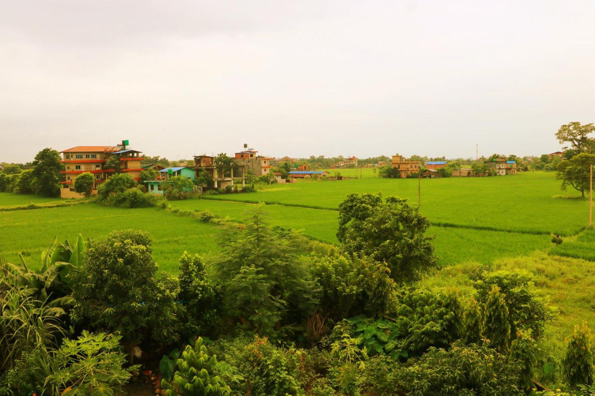 Hotel National Park Sauraha- Homely Stay And Peaceful Location Exterior photo